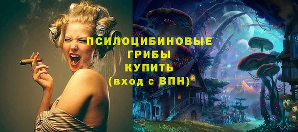 винт Алзамай